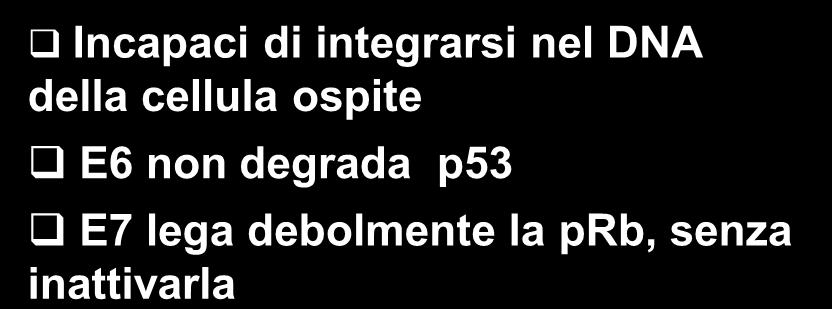 e prb Incapaci di integrarsi nel DNA della