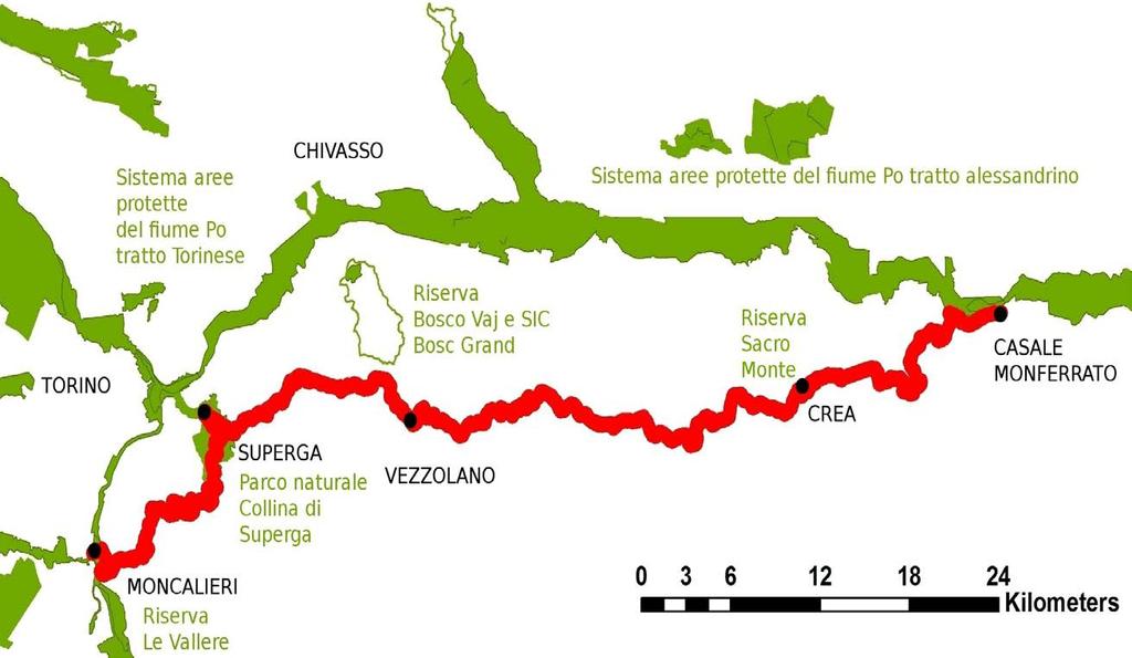 Il Cammino delle Colline del Po Pino