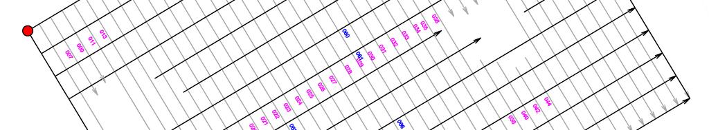 Figura 1 - Schema dei profili registrati per la realizzazione del volume. In evidenza le porzioni di terreno non indagato a causa delle transenne di segnalazione cavità esistenti.