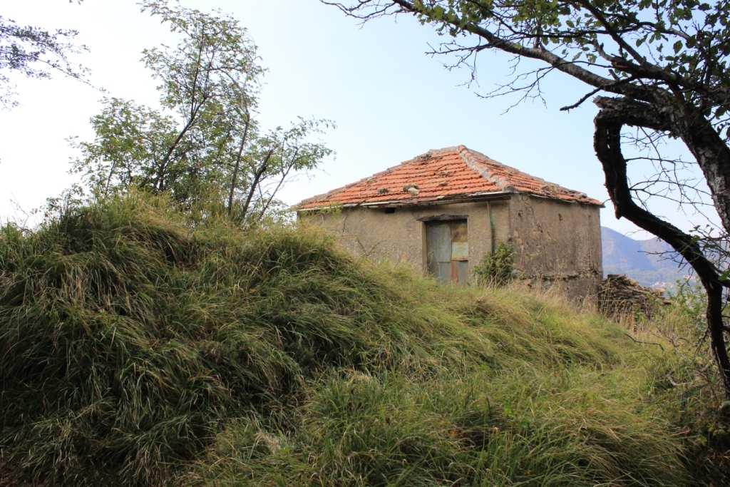 Superato il bosco, da una curva, si nota