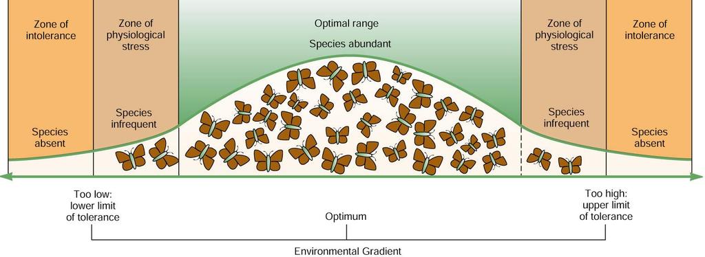 LIMITI DI TOLLERANZA Per ogni specie si potrebbe definire un ambito di tolleranza nei confronti di ciascun fattore ecologico, entro il quale gli organismi svolgono le loro funzioni vitali.