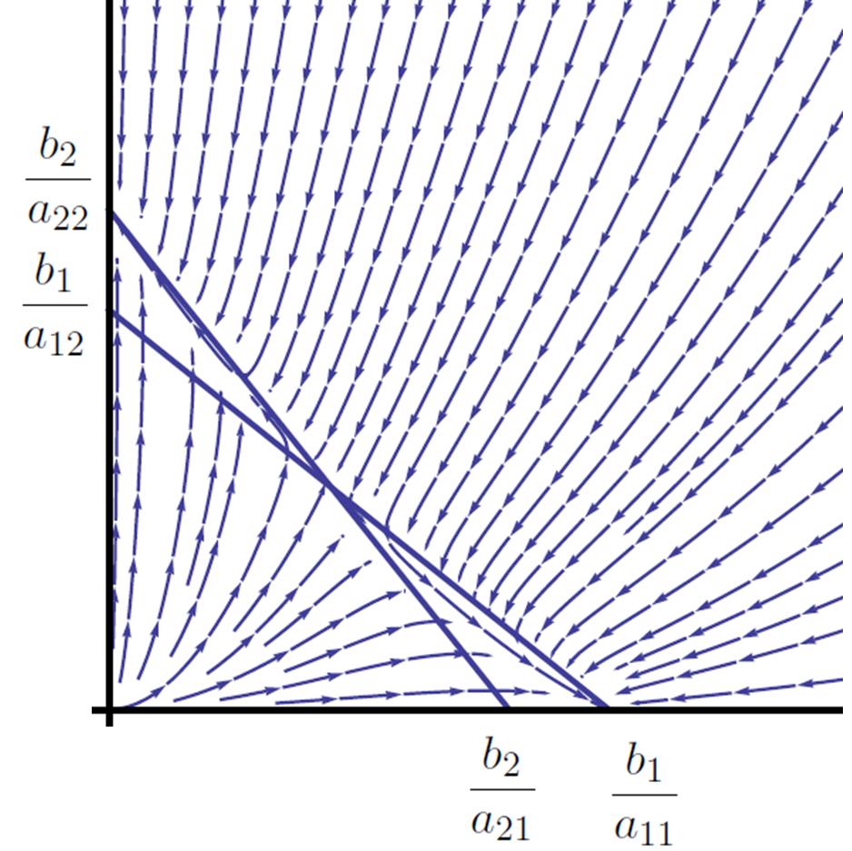 1: = 1/2 oppure x + ypossibili = 1 sulledelle quali,rette rispettivamente, a22 y =la0prima e andamento soluzioni del sisistema la seconda oppure componentedelle del campo vettoriale annulla.(4.1).