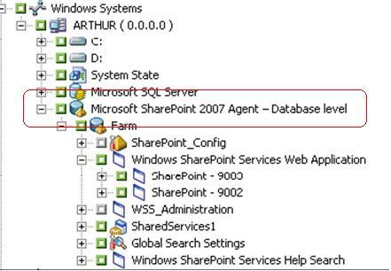 Esecuzione di un backup a livello di database in SharePoint Server 2007 Completo: consente di eseguire il backup dell'intero database e di contrassegnare tutti i file di cui è stato eseguito il