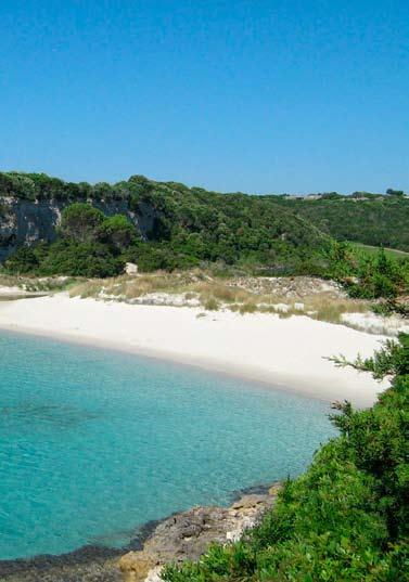mediterranea, la Corsica