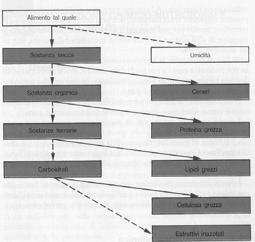 : schema