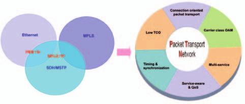 settore. Il nome indica di per sé due importanti caratteristiche: Pacchetto e Trasporto.