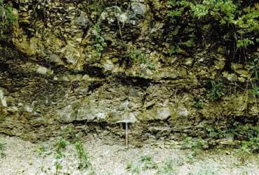 Unità carbonatiche della Piattaforma Appenninica (Triassico superiore - Miocene); 6. Unità Lagonegresi (Triassico inferiore-medio - Oligocene); 7. Limite stratigrafico; 8. Faglia ad alto angolo; 9.