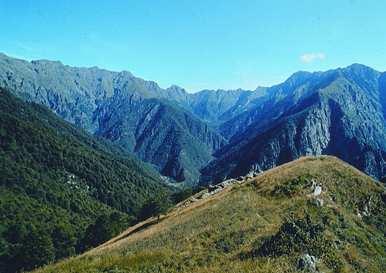 della biodiversità, analizzando le foreste e