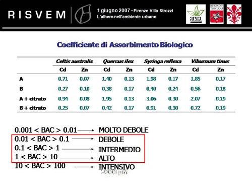 Pagina6