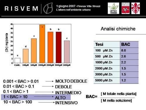 Pagina10