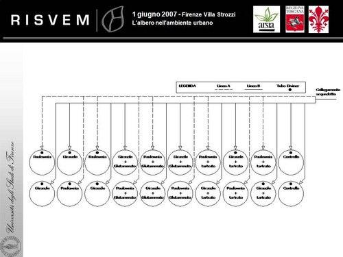 Pagina14