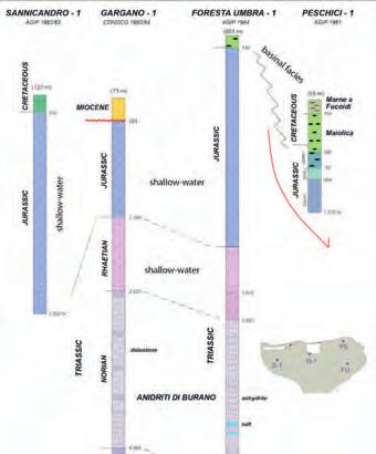 M. MOrSilli: Sintesi delle conoscenze geologiche e stratigrafiche del Promontorio del Gargano Philip, 1989; Bosellini et al.