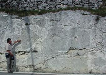 M. MOrSilli: Sintesi delle conoscenze geologiche e stratigrafiche del Promontorio del Gargano Figura 8 - Fotomosaico del fianco della piattaforma Apula nei pressi di Mattinata (Ripe Rosse) formata da