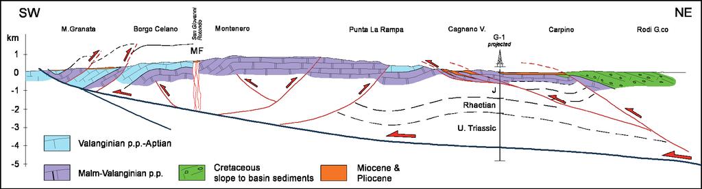 M. MOrSilli: Sintesi delle conoscenze geologiche e stratigrafiche del Promontorio del Gargano attiva e che ci siano evidenze di movimenti trascorrenti destri recenti con subordinati movimenti