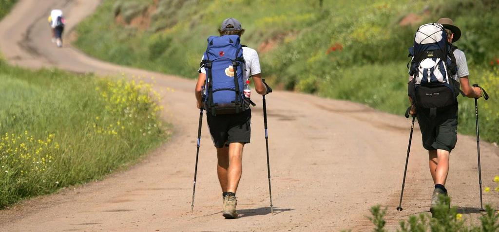 Venerdì SANTIAGO DE COMPOSTELA FRANCIA Partenza alle 04:00 circa con due autisti per tutto il viaggio di ritorno. Soste lungo il percorso per la colazione ed il pranzo libero.