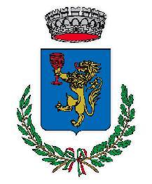 COMUNE DI TRONTANO PROVINCIA DI