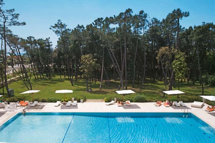 La piscina esterna di 25 metri è circondata dal verde, con una macchia di pini marittimi piantati per la