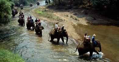 Visita ed attività presso l Elephant Conservation Center. Trasferimento con pulmino privato a Chiang Rai con guida locale in italiano.