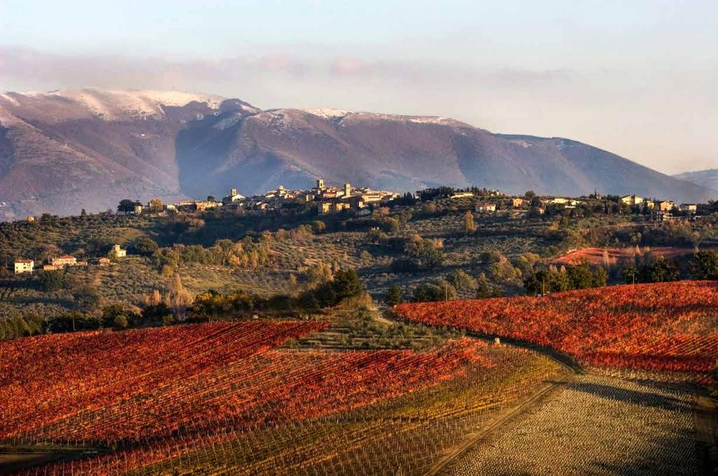 retrospettiva SAGRANTINO DI MONTEFALCO Un grande rosso a cui il tempo regala degli incredibili benefici, assaggiamo l annata 2001 e l annata 2005, tra le migliori del decennio passato.