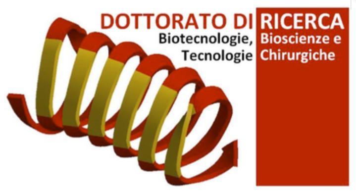 C) Dottorato di ricerca in