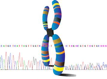 it DIPARTIMENTO: Scienze della vita