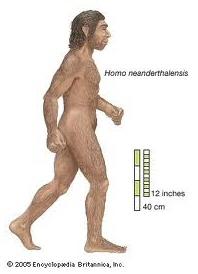 L uomo di Neanderthal