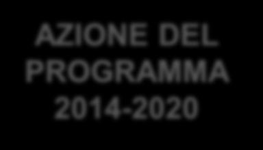 Attività di GPU AZIONE DEL PROGRAMMA 2014-2020 Attività Fase di candidatura Processo di partecipazione al Programma (beneficiari) Fase di gestione Processo di