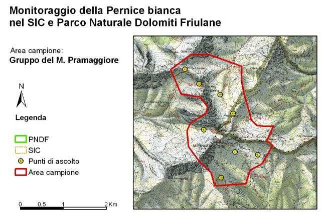 In allegato viene fornito lo shapefile Punti ascolto Pernice bianca nel quale vengono riportati i dati esposti in tabella 2. Tabella 2.