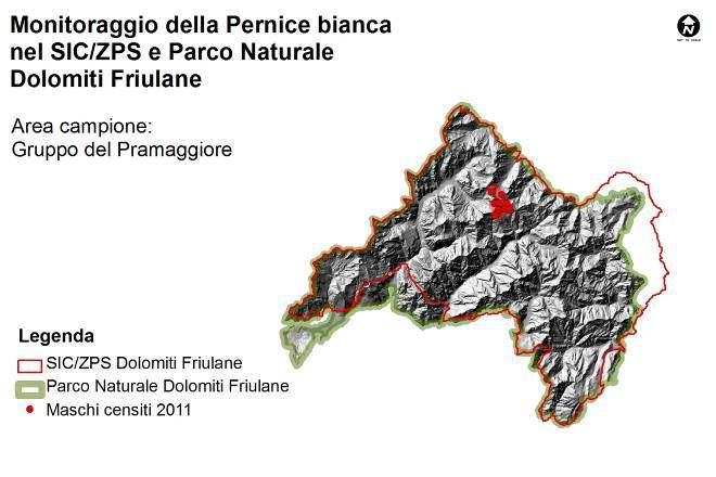 2. Attività svolta Il monitoraggio primaverile al canto è stato condotto dall inizio alla metà di giugno nel corso di giornate possibilmente ottimali e ripetuto per due volte a causa delle cattive