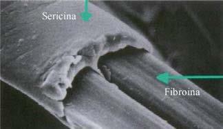 70/80% fibroina