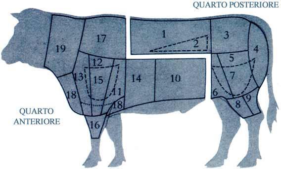 I Tagli della Carne Bovina LOMBATA 1 FILETTO 2 SCAMONE 3 GIRELLO 4 FESA ESTERNA 5 NOCE 6 FESA INTERNA 7 PESCE 8 GERETTO POSTERIORE 9