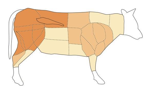 Principali tagli del bovino adulto LOMBATA roast beef bistecca FILETTO arrosto (intero) griglia ecc.