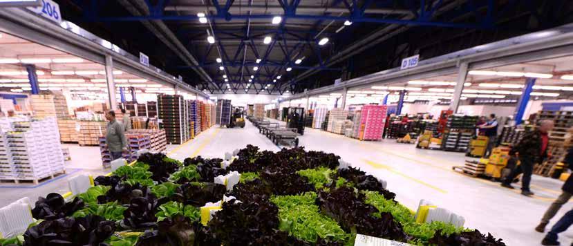 322 MQ (in implementation on the existing property of the former Fruit and Vegetable Market) 350 milioni di euro di fatturato Oltre 2.400.