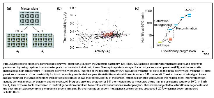 Evoluzione guidata in vitro per migliorare la