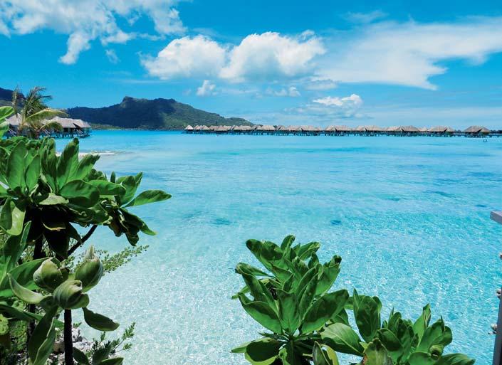 Polinesia le perle del Pacifico polinesia Faanui Haapiti Nunue ISOLA DI BORA BORA ISOLA DI RAIATEA Tiva Afareaitu ISOLA DI MOOREA Patio Tapuamu Tevaitoa POLINESIA FRANCESE Vaiaau Hipu Vaitoare