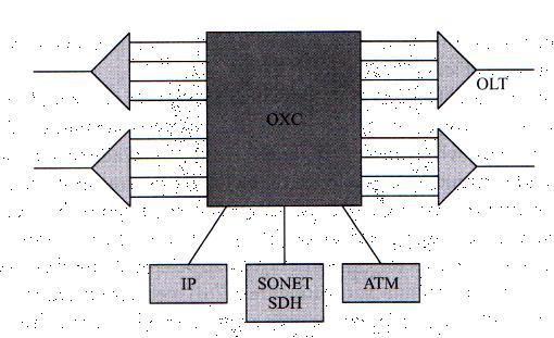 Optical Cross-Connect (2) OXC lavora con elementi Sonet/SDH, router IP, switch ATM, terminali WDM, OADM Alcune porte connesse a dispositivi per WDM Altre a dispositivi che portano traffico ad utenti