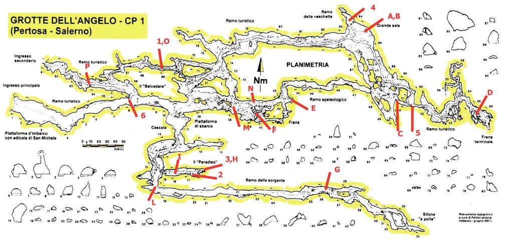 G. Calandri Monitoraggi microclimatici nella Grotta di Pertosa (provincia di Salerno) 335 croambienti; fossili e attivi), con zone interessate al flusso turistico.