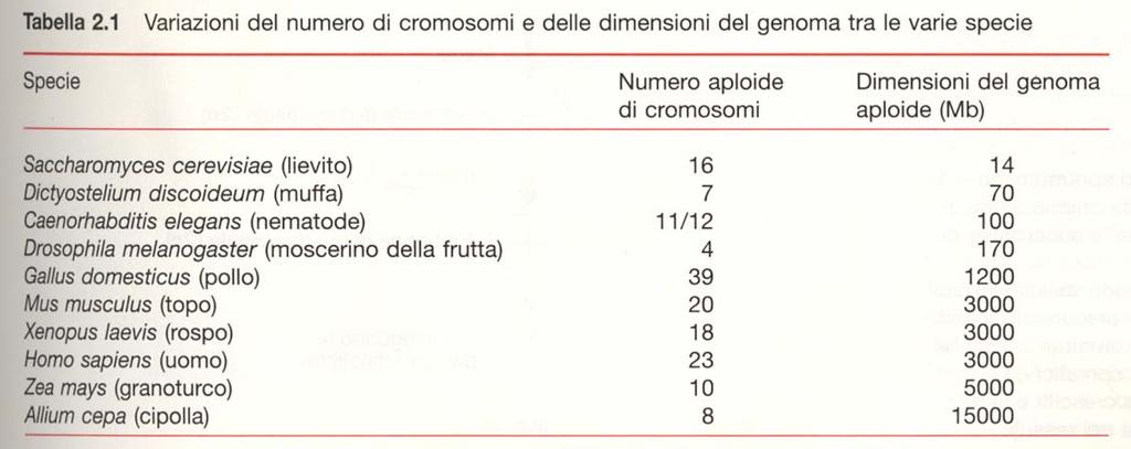 trascrittoma) il trascrittoma e