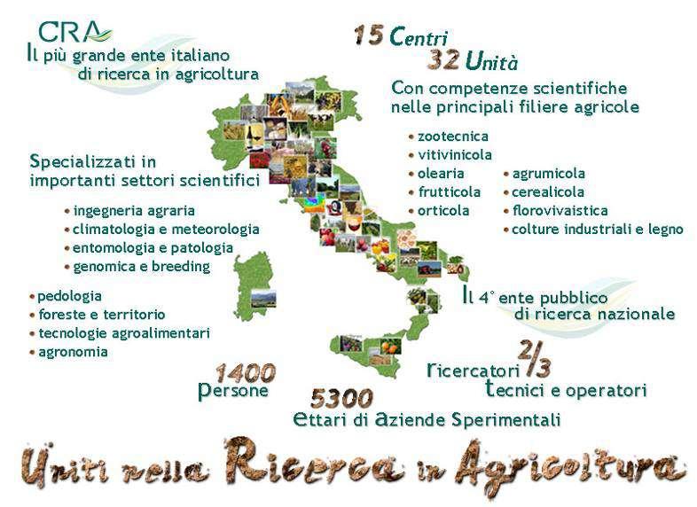 Peculiarità del miglioramento genetico nelle piante ornamentali Gruppo molto eterogeneo di specie diverse, allogame, altamente eterozigoti e con forte carico genetico Conoscenze difficilmente