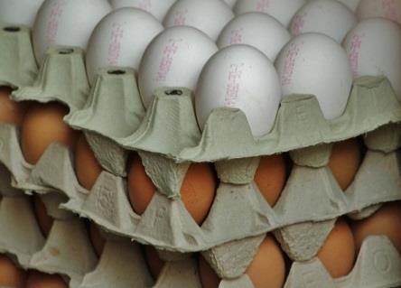 Dipartimento federale dell'economia, della formazione e della ricerca DEFR Ufficio federale dell agricoltura UFAG Settore Osservazione del mercato Rapporto sul mercato delle uova settembre 2014 Uova