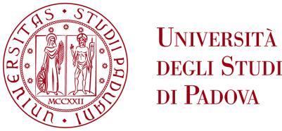 DIREZIONE GENERALE AREA EDILIZIA, PATRIMONIO IMMOBILIARE E ACQUISTI Servizi di vigilanza nelle sedi dell Università degli Studi di Padova - N. Lotti: Lotto n. - Sedi di Padova e Legnaro, Codice C.I.G.: 5085B.