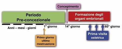 Quando si decide di avere un bambino, o non si esclude di averlo, è perciò essenziale rivolgersi al sanitario di fiducia per individuare tutto ciò che è possibile fare al fine di aumentare le