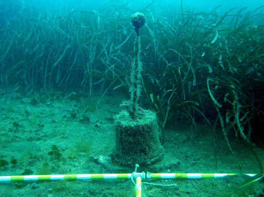 Figura 8: balise lungo il margine inferiore (foto