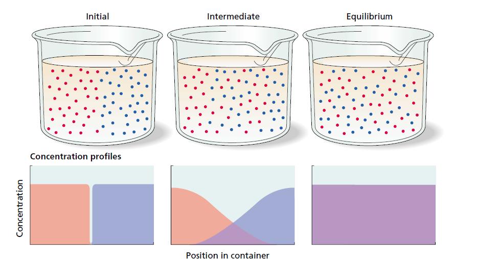 Diffusione processo attraverso il quale le molecole in soluzione tendono, a seguito della loro agitazione termica, ad occupare tutto il volume di solvente.