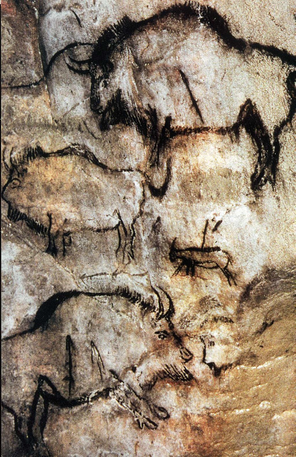 IL CONFRONTO UNA SCENA DI CACCIA DI ETÀ PALEOLITICA La Grotta di Chauvet IN ETÀ PALEOLITICA, L ARTE COME MAGIA In un periodo che risale a circa 35 000 anni fa, l uomo inizia a servirsi dell immagine