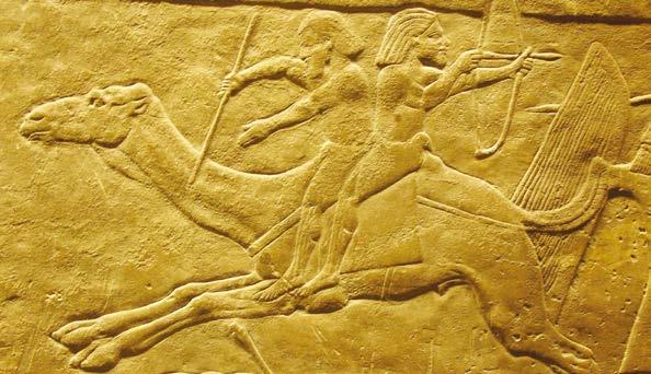 VERSO LE COMPETENZE Abilità e competenze Splendidi animali nei rilievi assiri E Le imprese di guerra e le battute di caccia dei sovrani assiri erano, come abbiamo visto, accompagnate da accurate