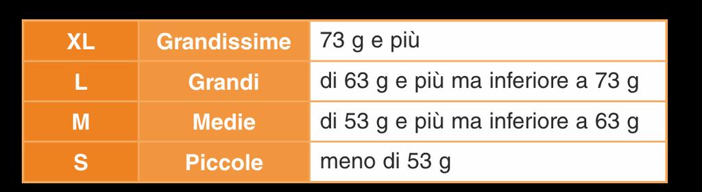 Classificazione in base