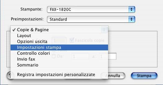 Selezione delle opzioni di stampa Per utilizzare le funzioni speciali della stampante,