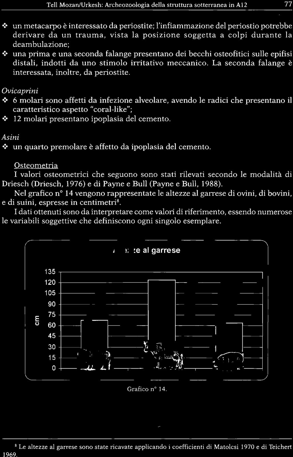 Tell MozanlUrkesh: Archeozoologia della struttura sotterranea in A12 77.:. un metacarpo è interessato da periostite; l'infiammazione del periostio potrebbe derivare da un trauma, vista la posizione soggetta a colpi durante la deambulazione;.