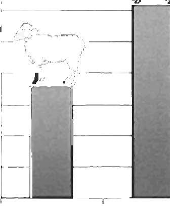 70 Silvia Di Martino Numero minimo di individui Il numero minimo di animali (NMI) è stato ricavato col metodo adottato da Chaplin 6, che utilizza il numero dei lati (destro o sinistro) degli elementi